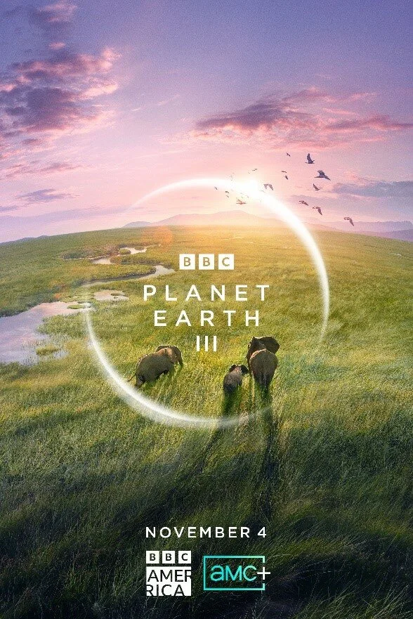 Смотреть BBC: Планета Земля III онлайн бесплатно в HD качестве на русском языке